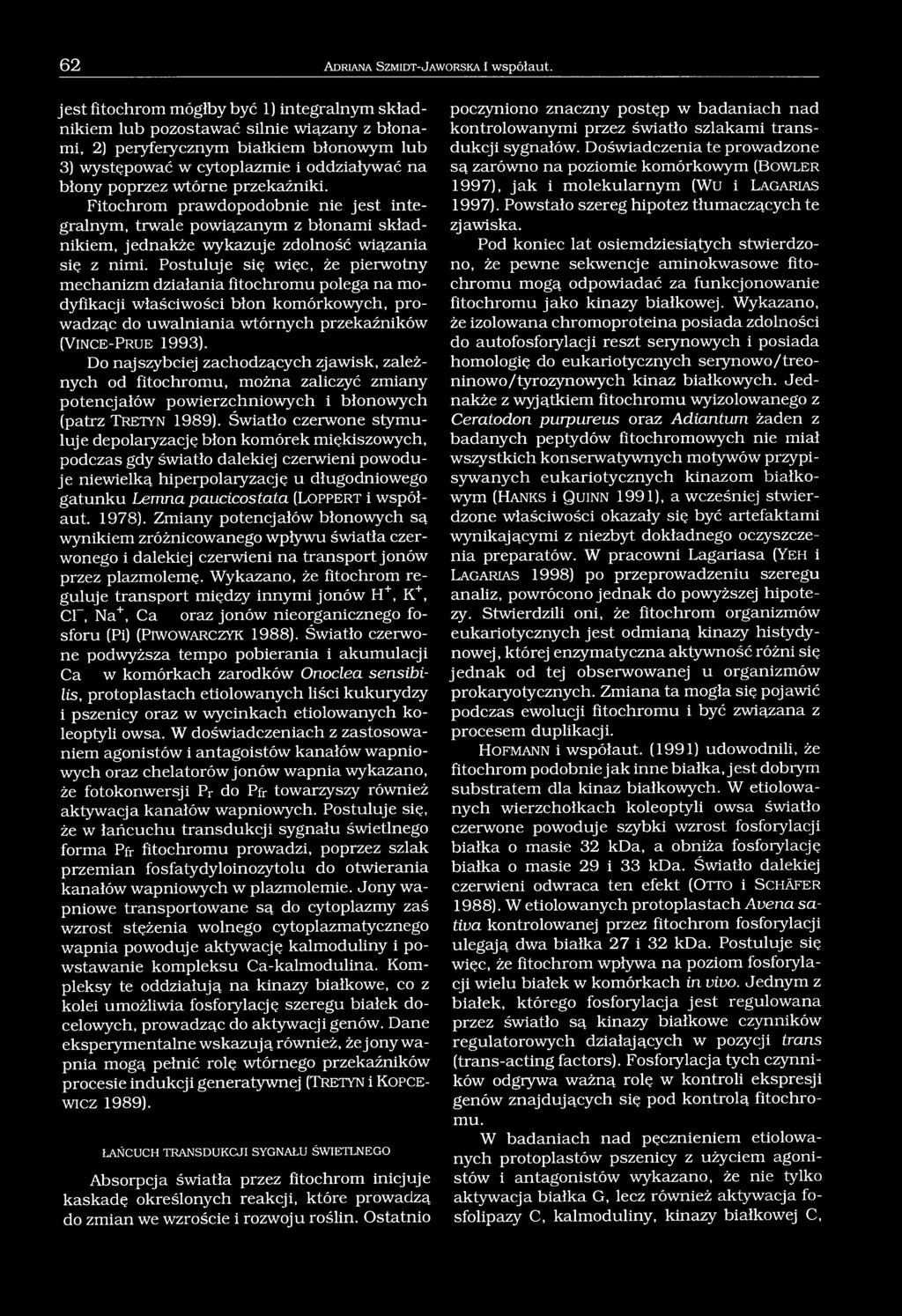 przekaźniki. Fitochrom prawdopodobnie nie jest integralnym, trwale powiązanym z błonami składnikiem, jednakże wykazuje zdolność wiązania się z nimi.