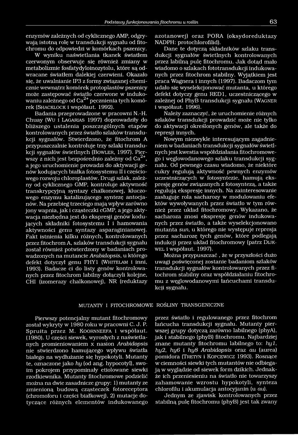 Okazało się, że uwalnianie IP3 z formy związanej chemicznie wewnątrz komórek protoplastów pszenicy może zastępować światło czerwone w indukowaniu zależnego od Ca2+ pęcznienia tych komórek (S h a c k
