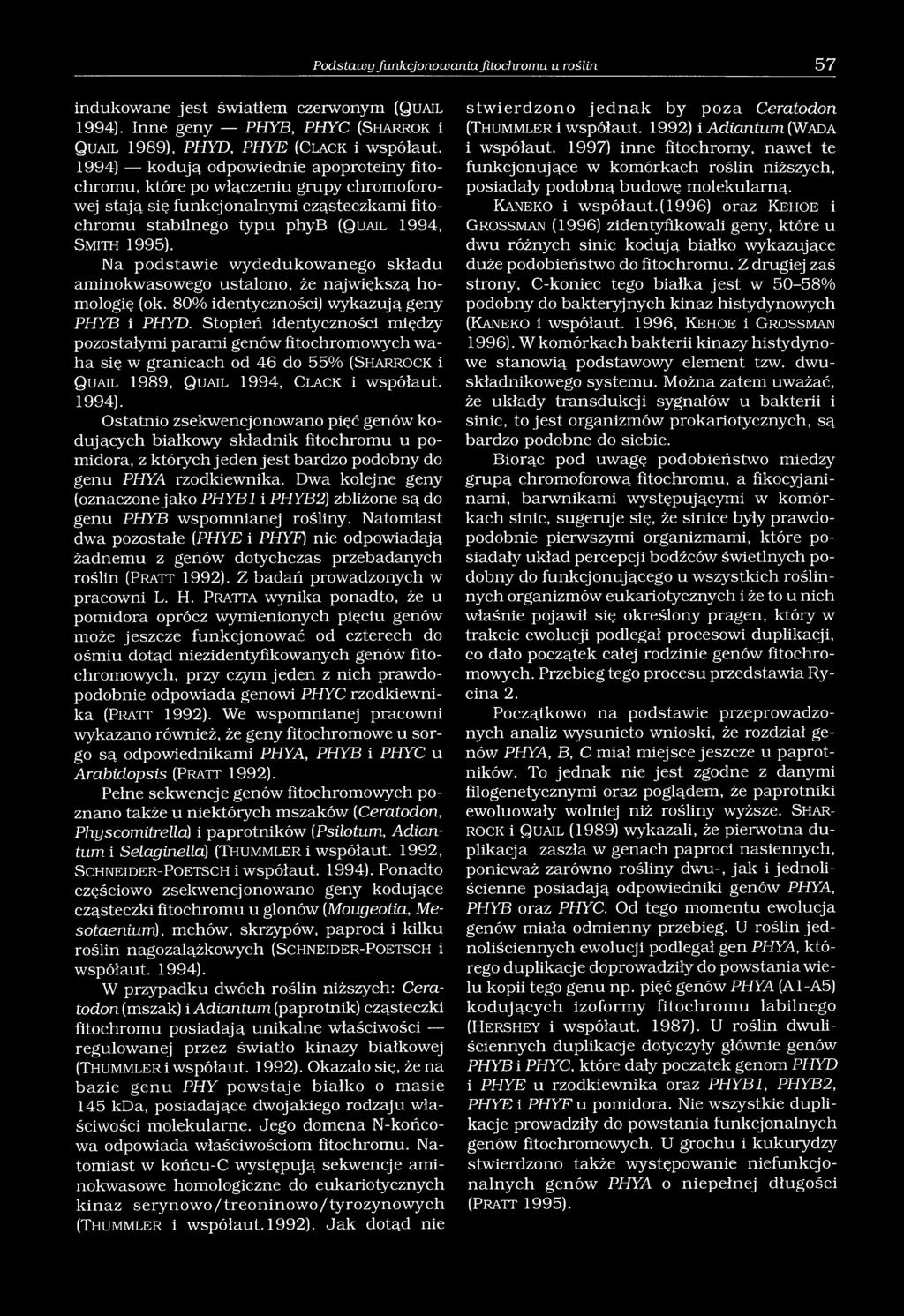 Na podstawie wydedukowanego składu aminokwasowego ustalono, że największą homologię (ok. 80% identyczności) wykazują geny PHYB i PHYD.