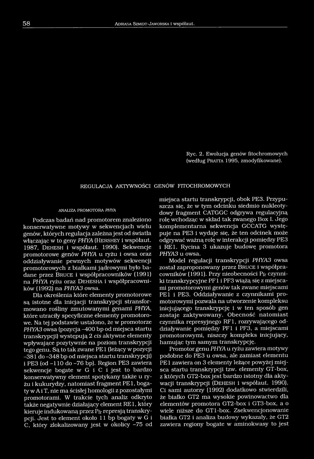 włączając w to geny PHYA (H e r s h e y i współaut. 1987, D e h e s h i współaut. 1990).