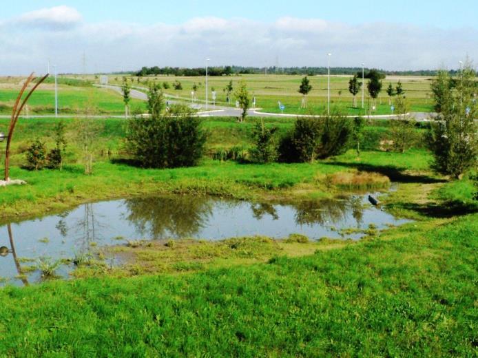 naturalnego zagospodarowania wód