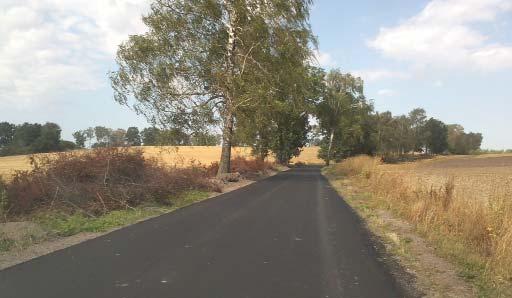 Inwestycje drogowe Echa remontu Samorząd gminy i mieszkańcy od lat zabiegali o remont odcinaka DW 527 od Jelonek do granic gminy w kierunku Dzierzgonia. Co mówią po realizacji I etapu inwestycji?