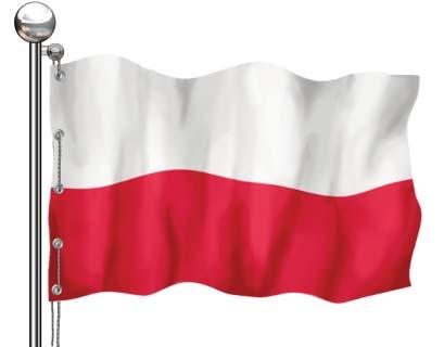 Trzykrotny Mistrz Polski seniorów oraz Wojskowy Mistrz i Wicemistrz Polski w biegu maratońskim (42,195 km), wielokrotny reprezentant kraju w Pucharze Europy.