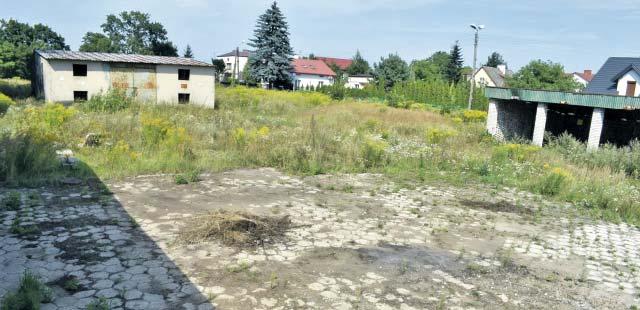 Na pierwszym miejscu stawia złoty medal w kategorii wiekowej 18-39 lat, na dystansie półmaratonu, w zorganizowanych w podpoznańskiej Mosinie mistrzostwach świata w nordic walking.