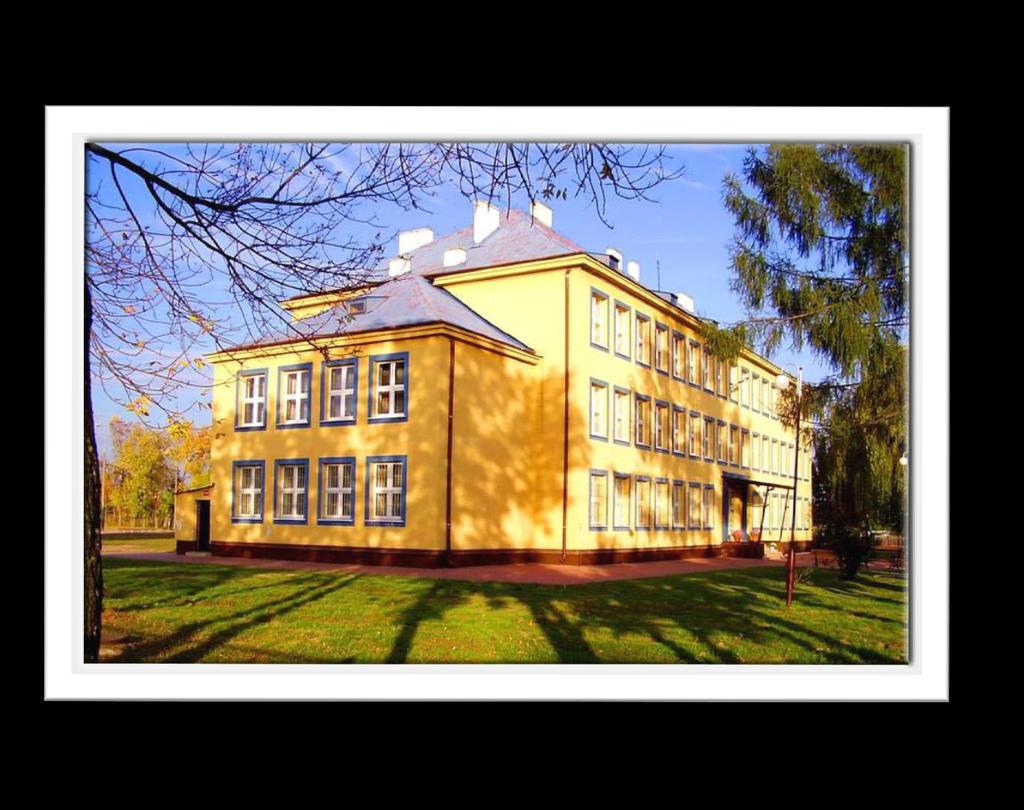 www.lopionki.