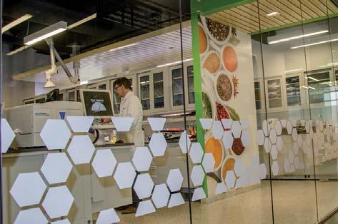 THE HUGHES CENTER FOR RESEARCH AND INNOVATION Jednym z filarów działalności Nature s Sunshine jest innowacyjność. Podporą tego filaru stało się Centrum badań i innowacji The Hughes Center.