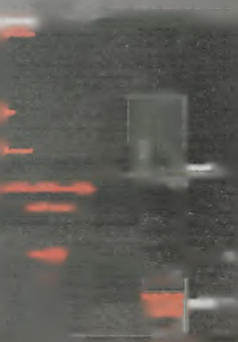 3 g ru d n ia w T a rc a c h n ie z n a n y s p ra w c a w ła m a ł s ię d o m ie s z k a n ia A n d r z e ja K.