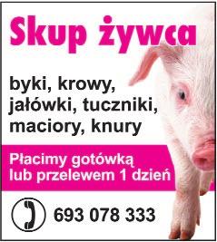 62 722 57 60 lub 606 688 116 PH Kowal poleca wêgiel (orzech, groszek, kostka, eko groszek) Mia³y wêglowe, drewno opa³owe, pasze koncentraty z firmy Provimi Bieganów, Sano, Farmpasz, otrêby, cement,