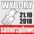By³y radny powiatowy mia³ byæ kandydatem z okrêgu nr 6, do którego nale y pow. krotoszyñski. Zosta³ oficjalnie zaprezentowany 8 sierpnia na konferencji prasowej.