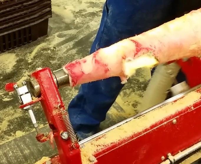 górnym oraz czy w pobliżu maszyny nie znajdują się osoby postronne.