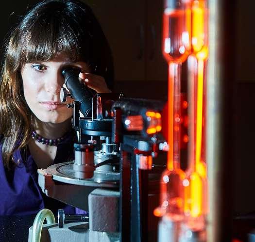 WYDZIAŁ BIOTECHNOLOGII I NAUK O ŻYWNOŚCI biogospodarka (I st.) biotechnologia (I i II st.) (również w j. ang. w IFE, studia I i II st.) biotechnologia środowiska (I st.