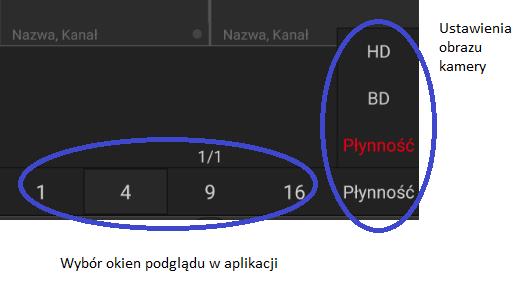 Po zakończeniu należy przejść do zakładki [Podgląd].