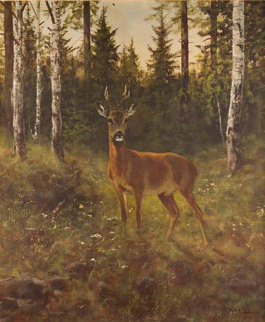 22 GEORG MAJEWICZ (1897-1965) Sarna w lesie olej/płótno, 60,2 x 50,2 cm