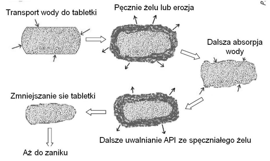 Mechanizm uwalniania substancji leczniczej z tabletki utworzonej z polimeru hydrofilowego, pęczniejącego w