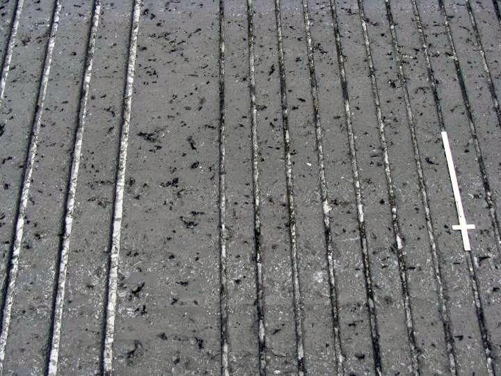 Closure of Standard Grooves Trap
