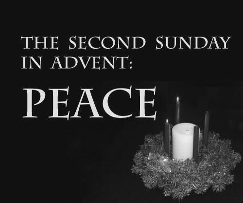 Lucy 7:30 am + Emily Szuba (Przyjaciele) Sunday - Niedziela - December 9 2nd Sunday of Advent 2 Niedziela Adwentu 8:00 am + Stefania, Antoni i wnuczka Edyta Kudzian (Córka Irena) 10:00 am + Janina