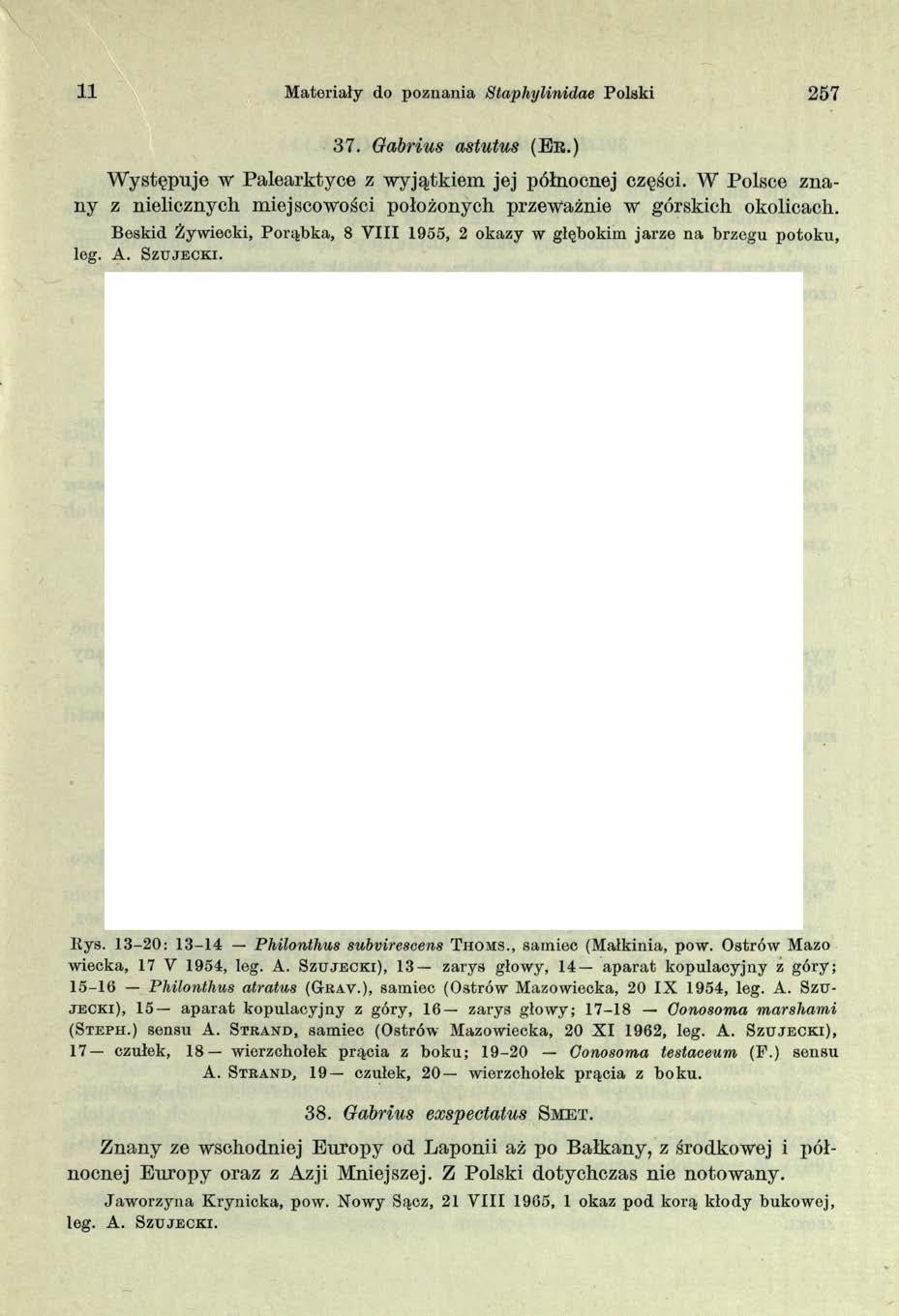 11 Materiały do poznania Staphylinidae Polski 257 37. Gabrius astutus (E r.) W ystępuje w Palearktyce z w yjątkiem jej północnej części.