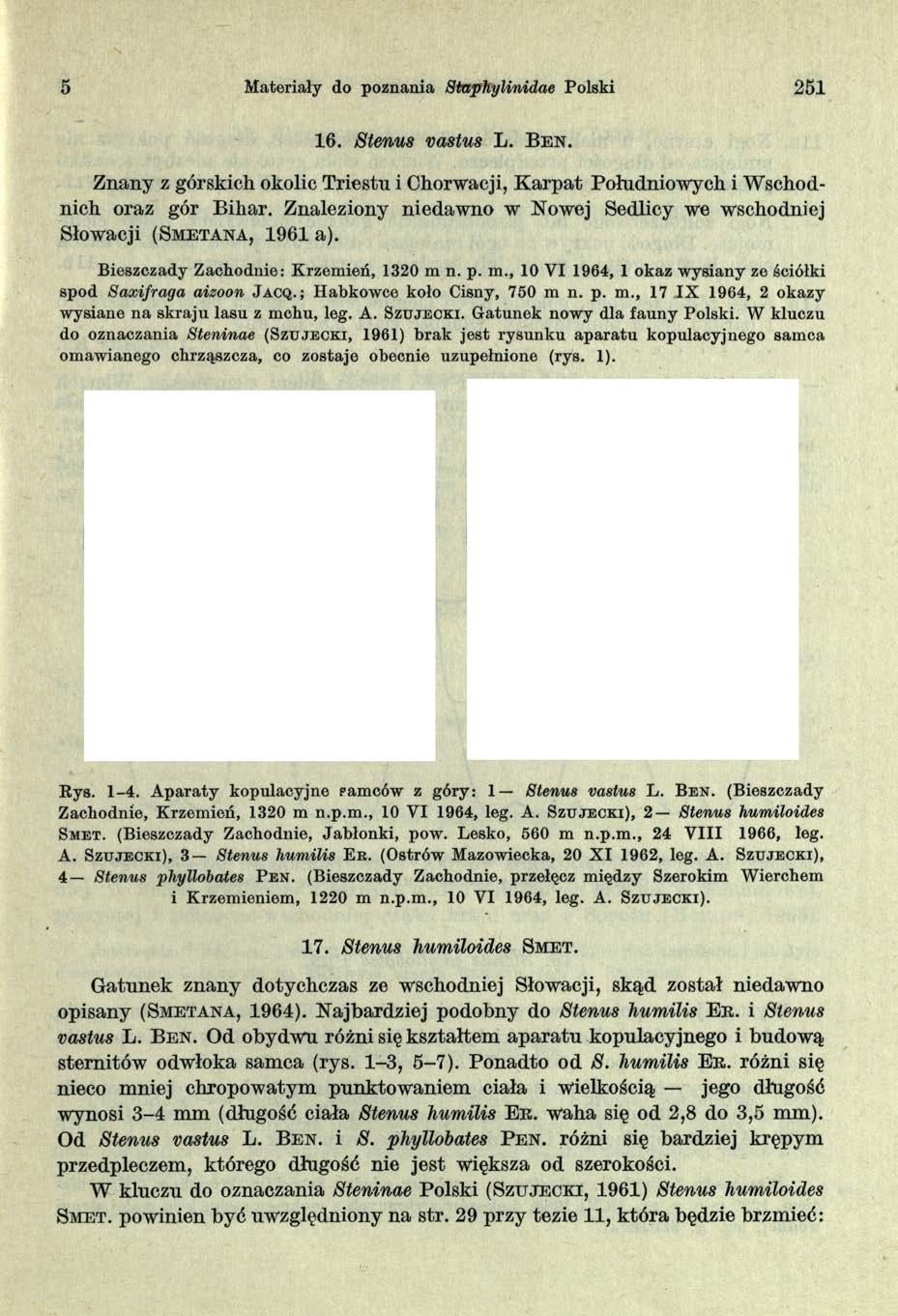 5 Materiały do poznania Staphylinidae Polski 251 16. Stenus vastus L. B e n. Znany z górskich okolic Triestu i Chorwacji, K arpat Południowych i Wschodnich oraz gór Bihar.