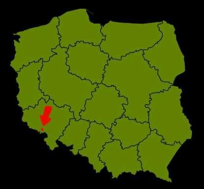 Gdzie to jest? Trasa biegu poprowadzona jest w malowniczych Górach Wałbrzyskich i Kamiennych, które są częścią Sudetów.