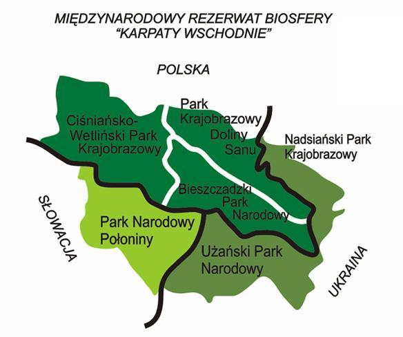 Nieba