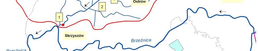 punktów