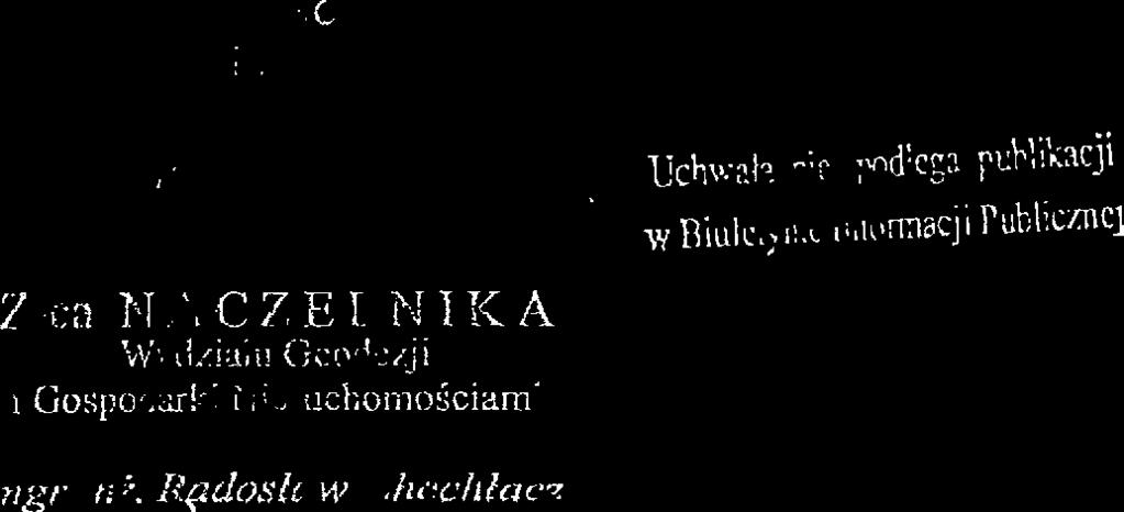 Maksym Gołoś Krzysztof Rym u Ewa Borodzicz NACŻELN }K Wydziału 9ecdezjl Mirosław