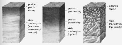 Zadanie 26. (2 p.) Połącz w pary poniższe miejsca z surowcami mineralnymi, które tam występują.