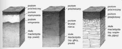 rudy cynku i ołowiu 4. sól kamienna 5. rudy miedzi 6. ropa naftowa a -. b -. c -. d -.. e -.