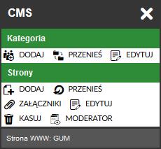 pole edycji online.