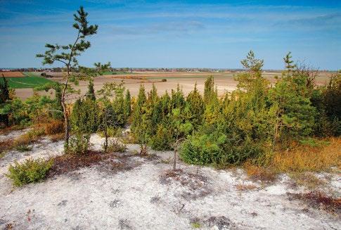 CHARAKTERYSTYKA WYBRANYCH OBSZARÓW NATURA 2000 Obszar Natura 2000 Żmudź PLH060075 Obszar Natura 2000 Żmudź położony jest w woj.