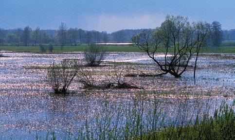 WSTĘP Rozlewiska w dolinie Bugu (fot. R. Siek) Obszary Natura 2000 w woj.