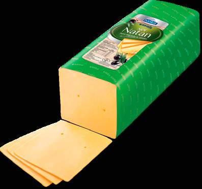 SER GOUDA