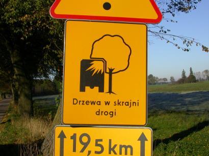 >=50 55 60 65 70 75 80 85 90 95 100 105 110 115 120 125 < 125 [%] Na temat przydrożnych drzew w aspekcie bezpieczeństwa ruchu krąży szereg mitów.