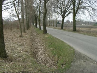 miejscowi miejscowi trzeźwi trzeźwi zamiejscowi zamiejscowi.