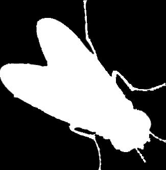 związanych ze schorzeniami wywołanymi przez insekty.