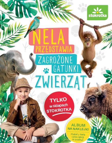 Segment detaliczny aktualnie prowadzone działania Kontynuacja działań podnoszących produktywność na sklepach Wdrożenie nowych rozwiązań w zakresie zarządzania zapasem Intensyfikacja działań w