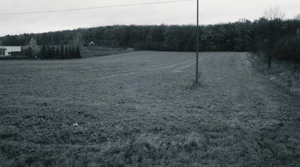 146 a) b) c) d) Rys. 2. Występowanie glaukonitytu na Lubelszczyźnie: a) Stawska Góra, b) Janów-Podgórze k.