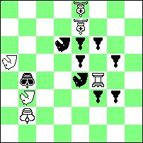 G:f5, Sh8# h* 24 * WOLA GUŁOWSKA 2004 (7+11) W typie biały gra ofiary skoczków celem otwierania linii białych wieŝ przy jednoczesnej