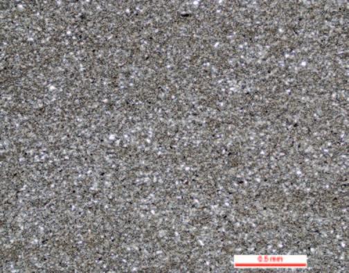 W opisie mikroskopowym facja B1 to iłowce z laminacją materiałem detrytycznym (kwarc, skalenie, węglany).