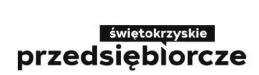REGULAMIN INSTRUMENT FINANSOWY - POŻYCZKA DLA MŚP Niniejszy Regulamin określa warunki i zasady udzielania pożyczek, w ramach Instrumentu Finansowego Pożyczka dla MŚP.