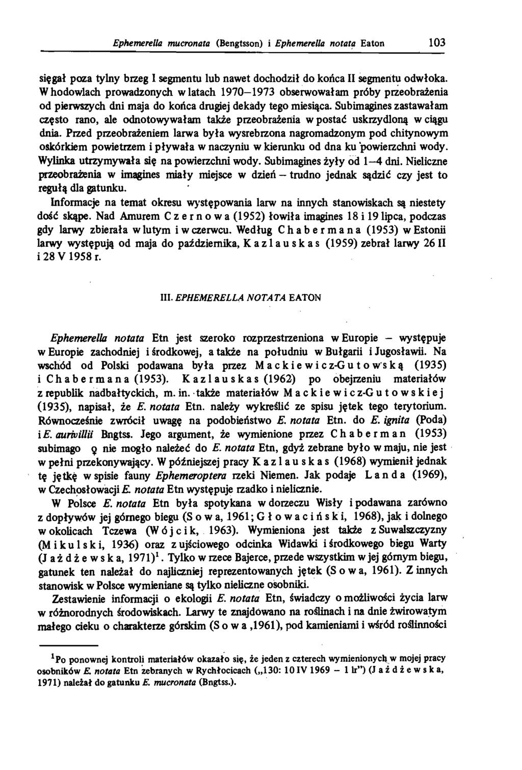Ephemerella mucronata (Bengtsson) i Ephemerella notauz Eaton 103 sięgał poza tylny brzeg I segmentu lub nawet dochodził do końca Il segmentu odwłoka.