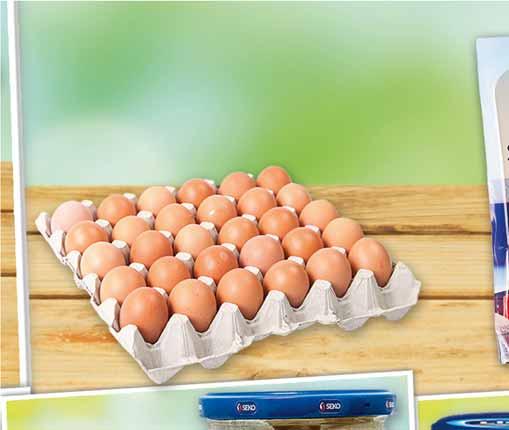 JAJA KL. L pakowane po 30 szt. 55737225 0 35 17 z VAT 0.