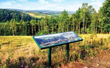 Prawie jak w Beskidach W krajobrazie gminy wyróżniają się wapienne wzgórza i malownicze doliny. Niektóre swym wyglądem przypominają Beskidy. Do cennych zbiorowisk roślinnych należą m.in. subkontynentalny las grądowy w środkowym przełomie Warty oraz murawy kserotermiczne na Górze Wał.