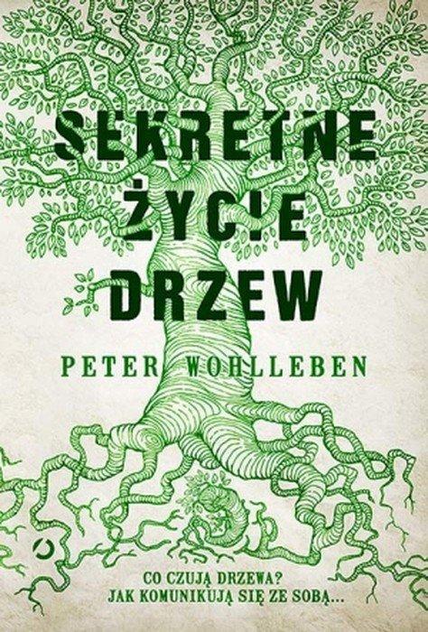 W lesie dzieją się zdumiewające rzeczy.