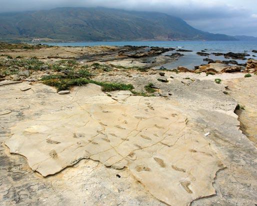geologicznych tego obszaru i dowiedzieć się, że intrygująca skała jest wieku mioceńskiego, sprzed około sześciu milionów lat.