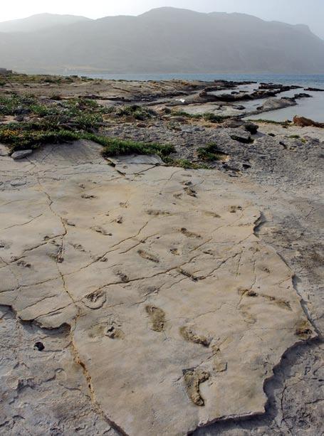 Stanowisko archeologiczno Trachilos pe Kreta śladenca save kerde późnomioceńska homininy.