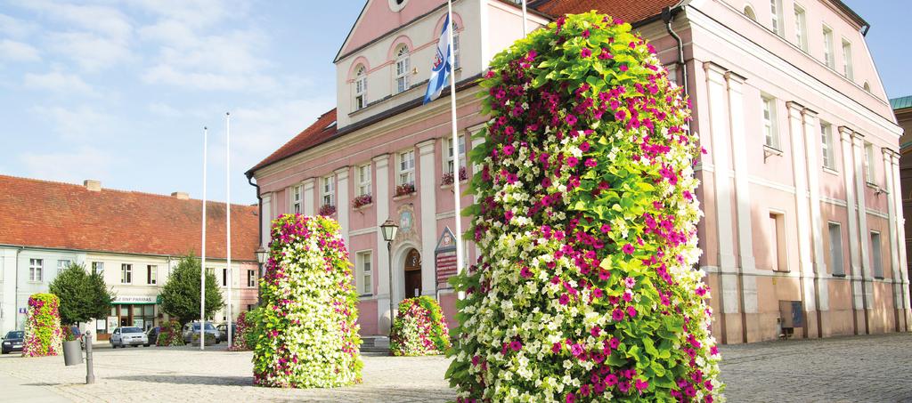 Plebiscyt Terra Flower Power Już od samego początku istnienia bloga organizujemy plebiscyt Terra Flower Power, którego celem jest wyłonienie i nagrodzenie miast