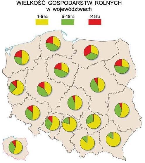 Strategia rozwoju Gminy Raciąż 83 11.2.