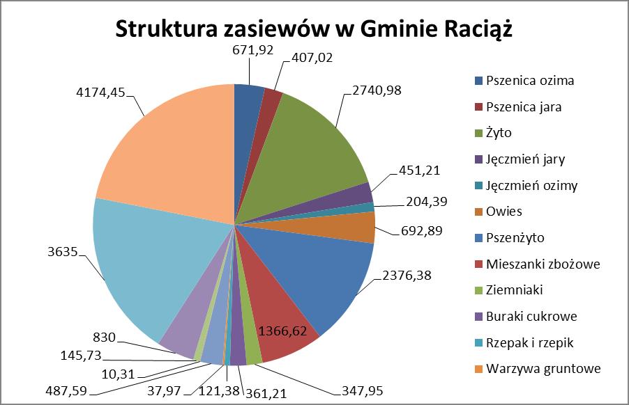 Strategia rozwoju Gminy Raciąż 86