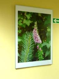 poligraficzne,